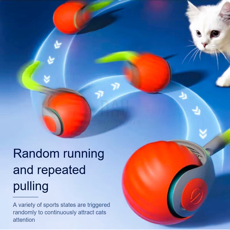 LED light cat toy