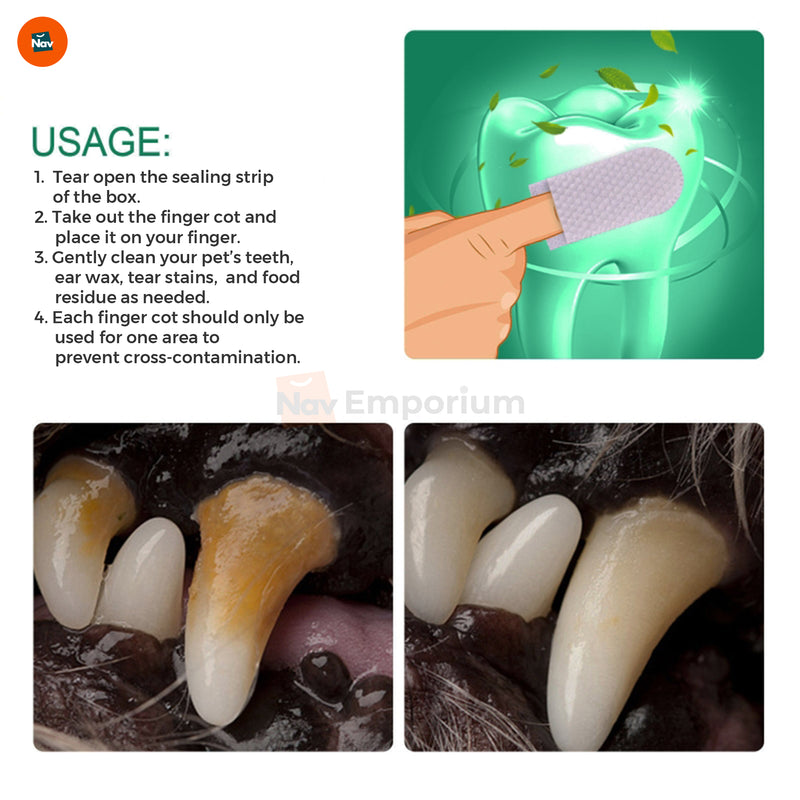 Cat oral hygiene
