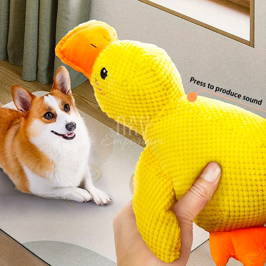 Fuzzy Duck Friend