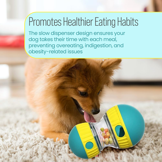 Interactive Pet Toy
