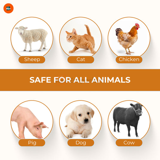 Plant-based mosquito spray for pets