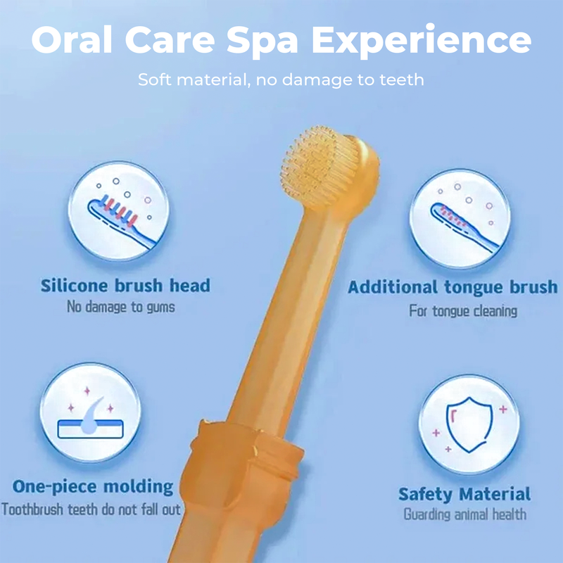 Dog Tooth Cleaning