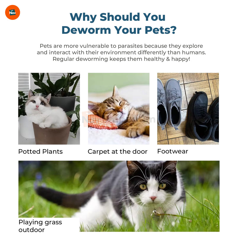 Paw Guard Floh- und Zeckenspray