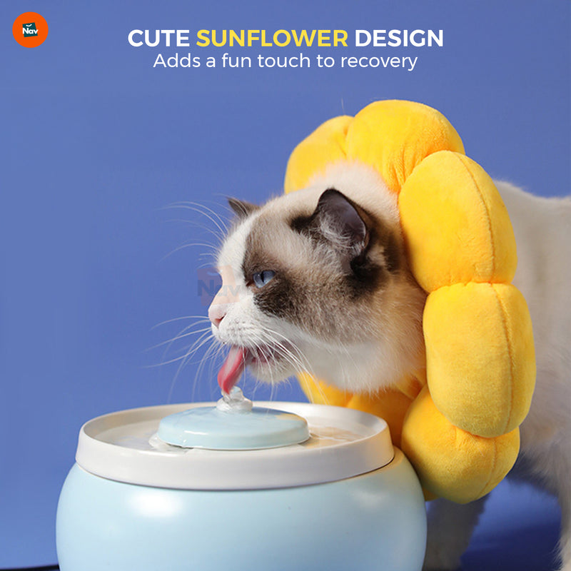 Non-toxic pet recovery cone 