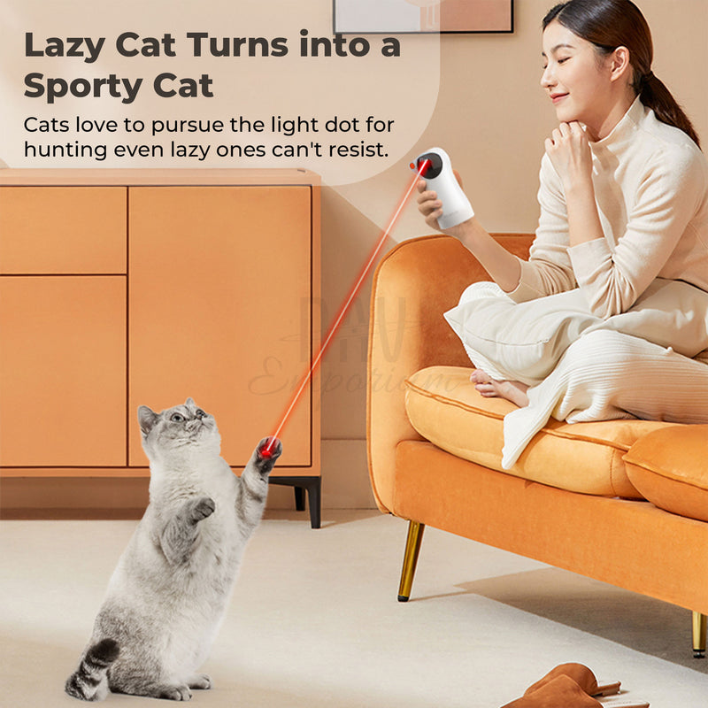 Automatic cat laser device