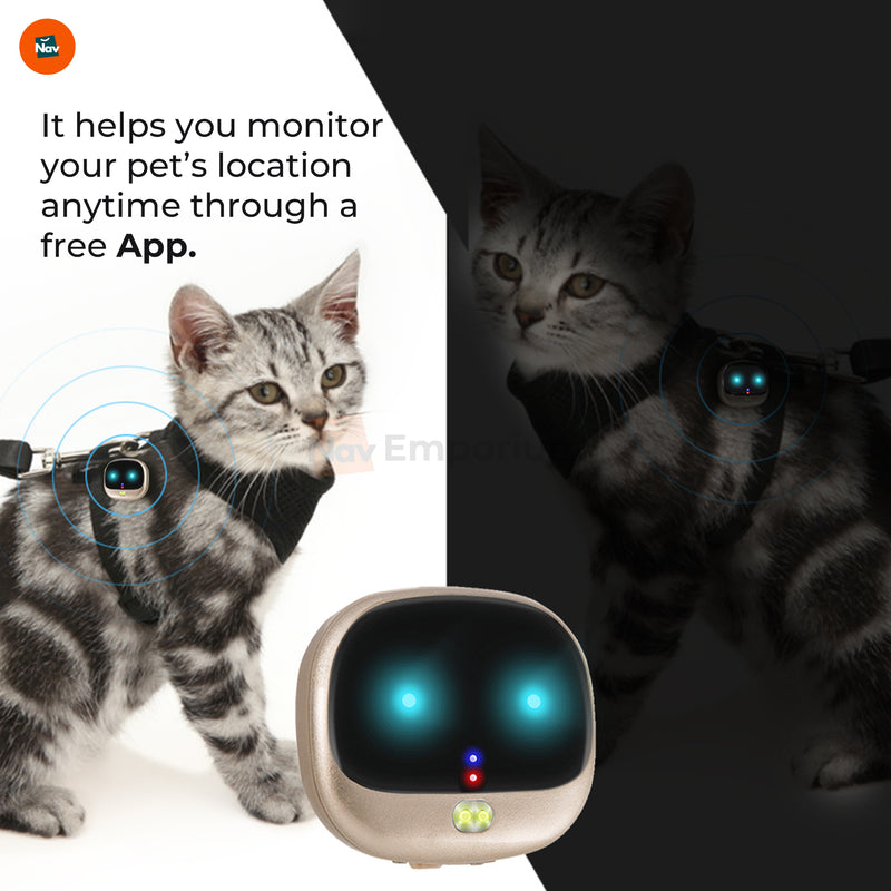 4G pet locator collar