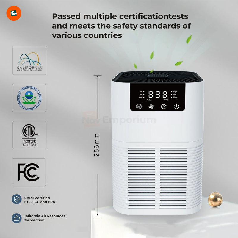 Portable air purifier with control 