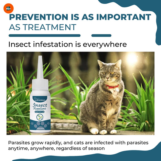 Paw Guard Floh- und Zeckenspray