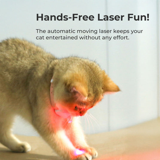 Automatic kitten laser collar