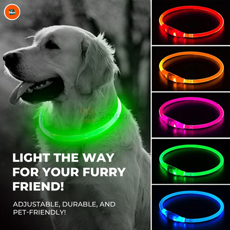 Waterproof LED collar during rain 