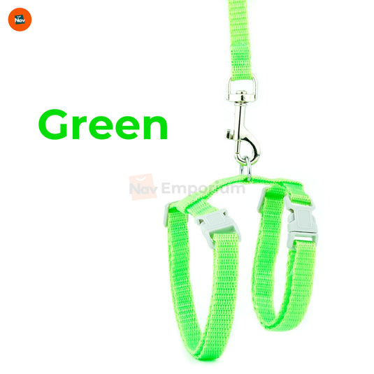 Comfortable harness for small cats 