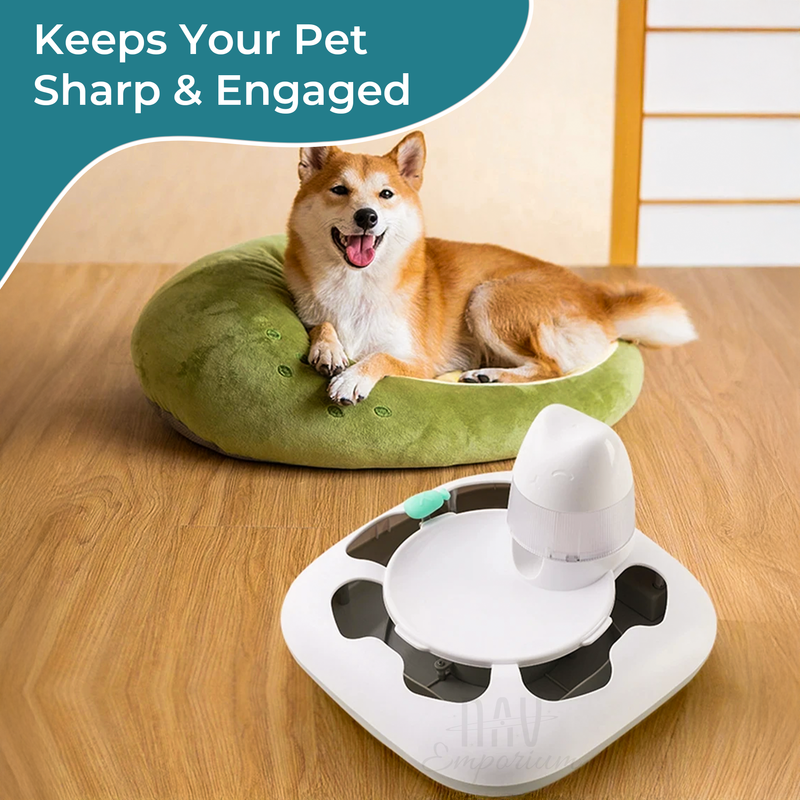Pet play feeder toy 5