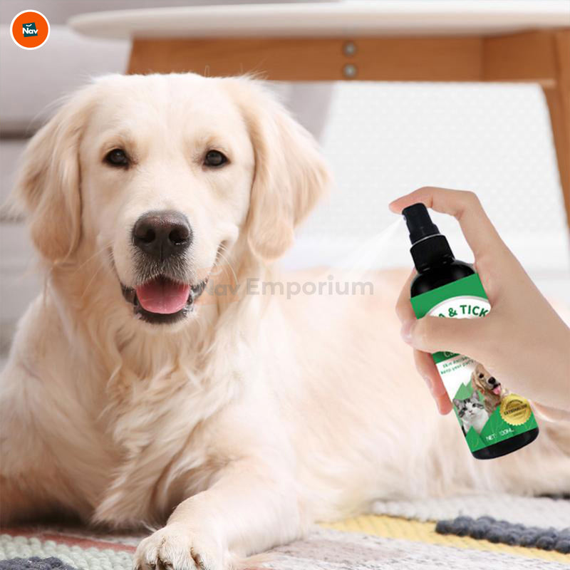 Cat flea and tick solution