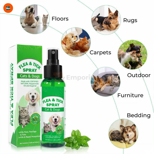 Herbal flea control spray