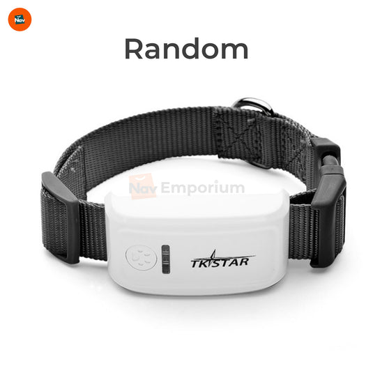 Live tracking pet device