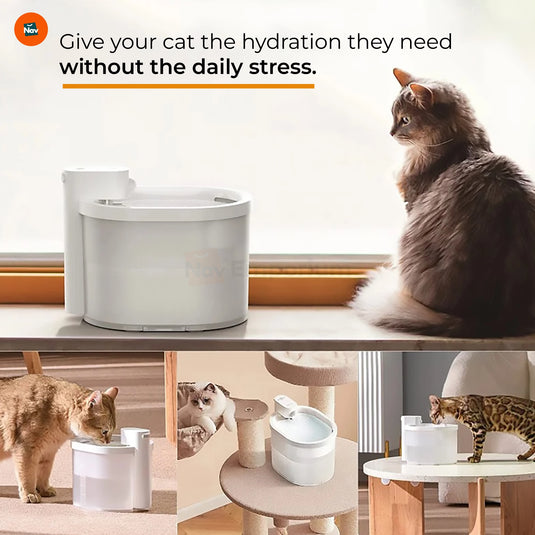Automatic cat water fountain filter