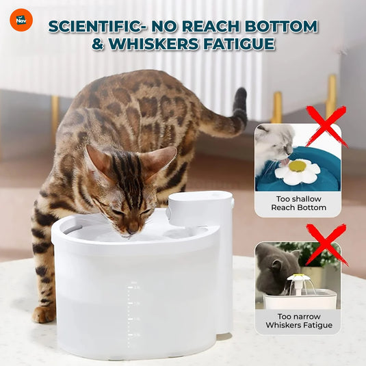 2L cat water fountain