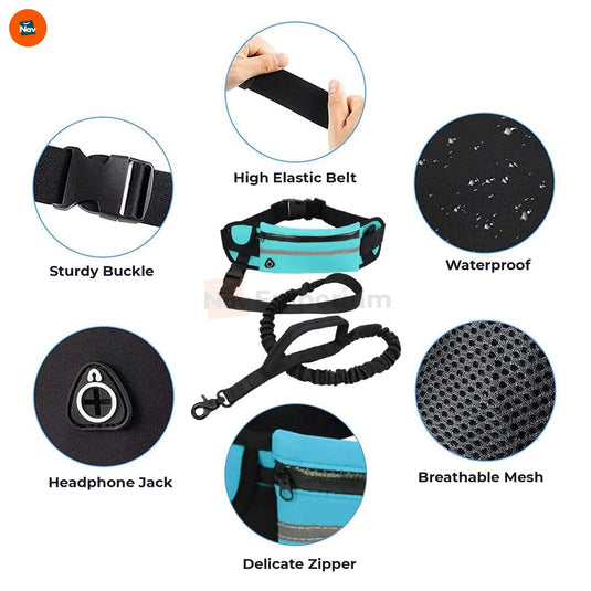 dual-handle, hands free dog leash 