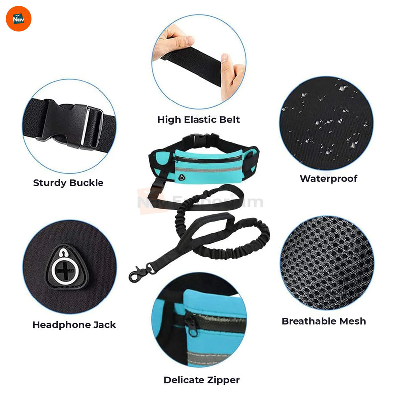 dual-handle, hands free dog leash 