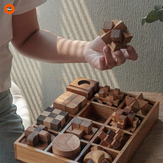 Wooden Brain Teaser Puzzle Set