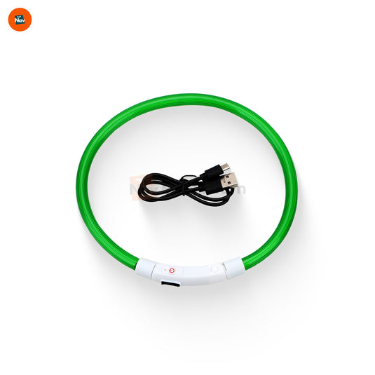 LED dog collar glowing at night