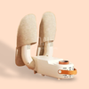 DryStep Smart Shoe Dryer