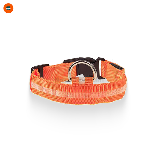 USB rechargeable LED dog collar