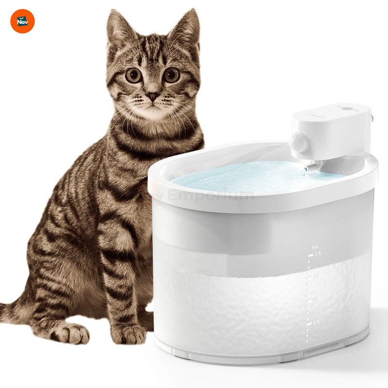 Battery-operated pet water dispenser 