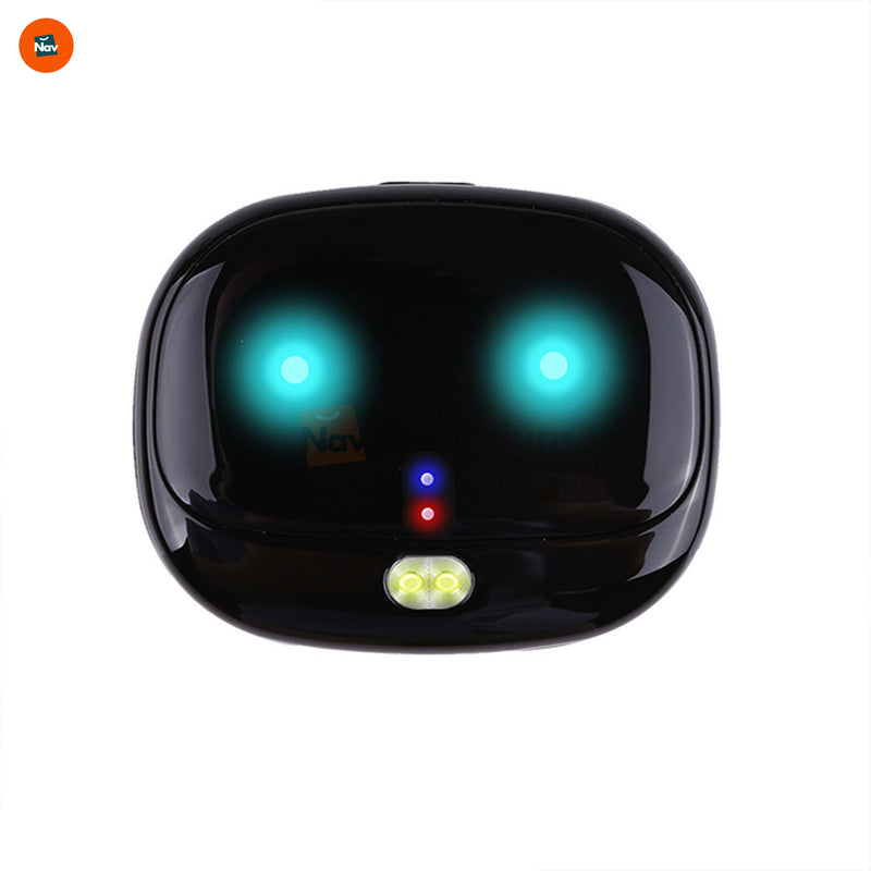 Real-time pet GPS tracker