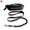 EasyJog Running Dog Leash