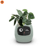 Smart Grow AI Planter