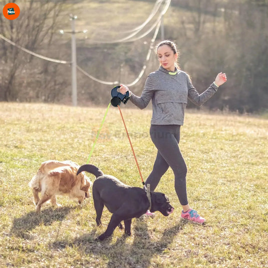 Lifestyle image shows LED dog leash 