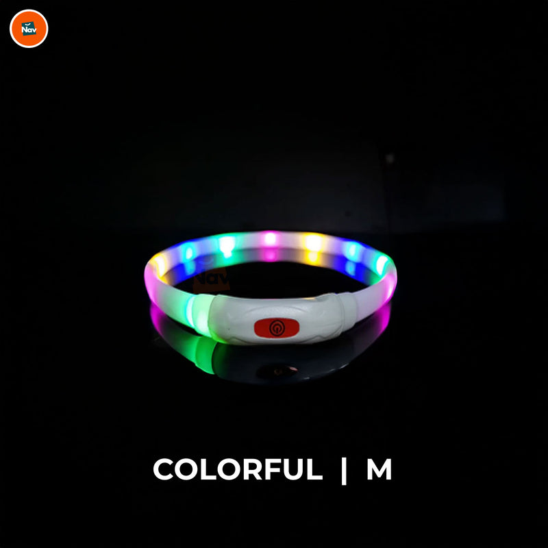 Night bright LED Dog Collar Colourful M