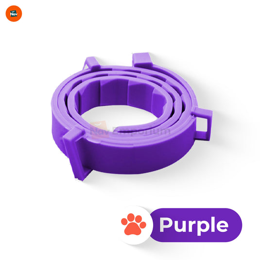 Large cat with tick prevention collar 2