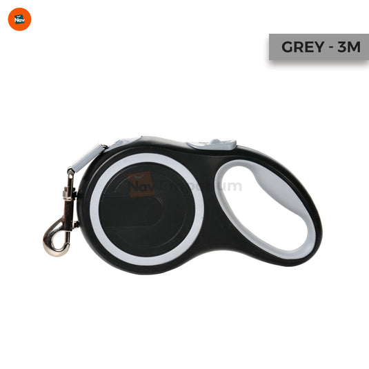 Pet owner walking with leash 3
